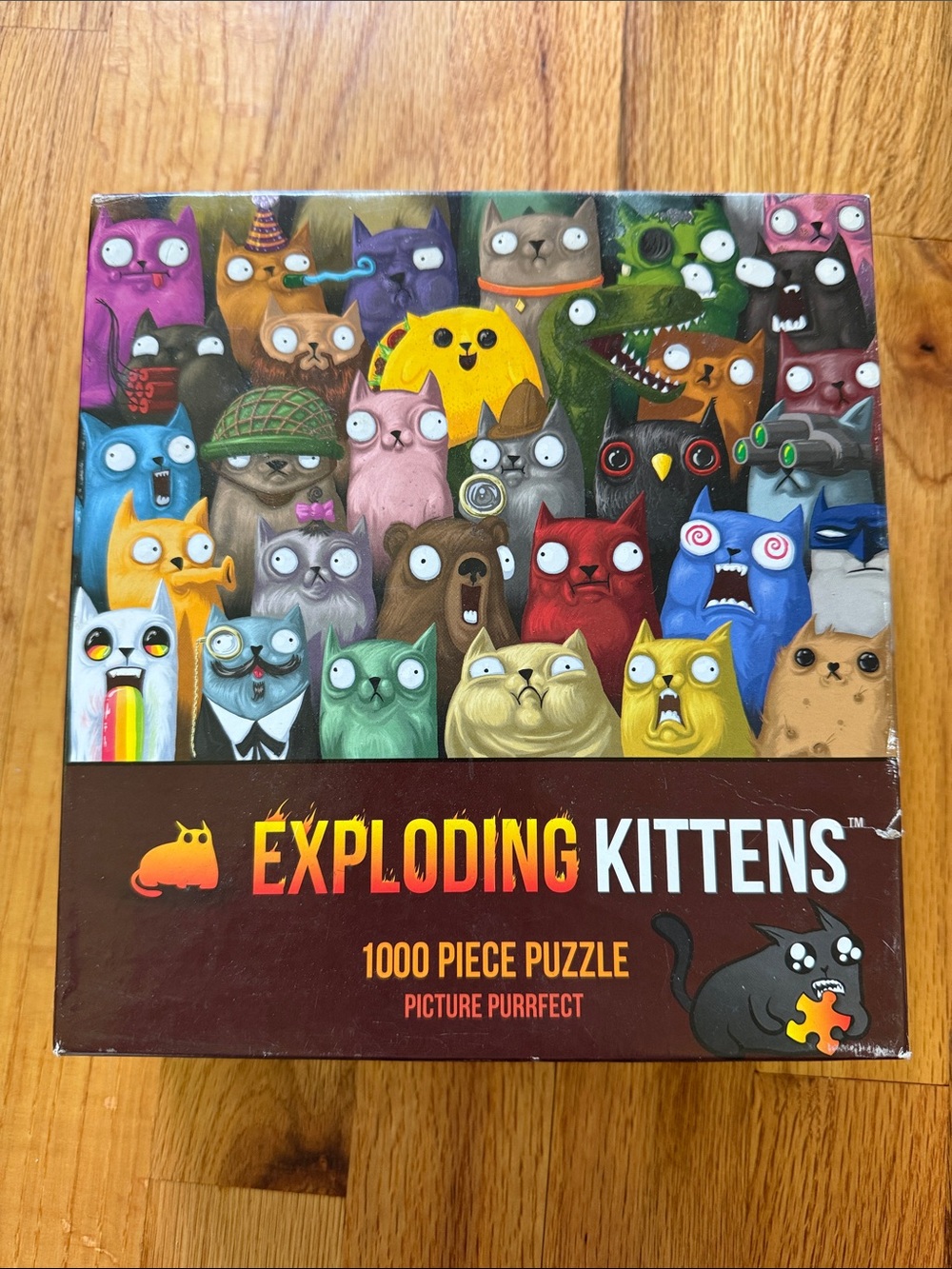 Exploding Kittens 1000-Piece Puzzle - Colorful Cat Art